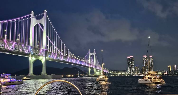 Bridge illuminated at night with city skyline and boats in water.