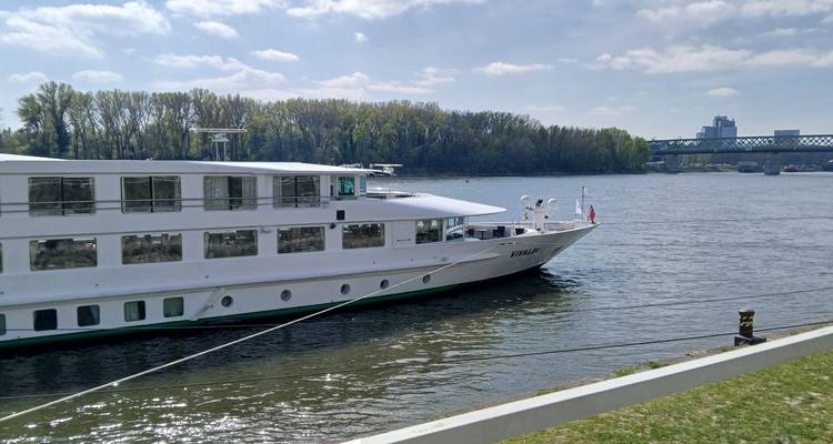 A cruise ship moored at a riverbank with trees and a bridge in the background.