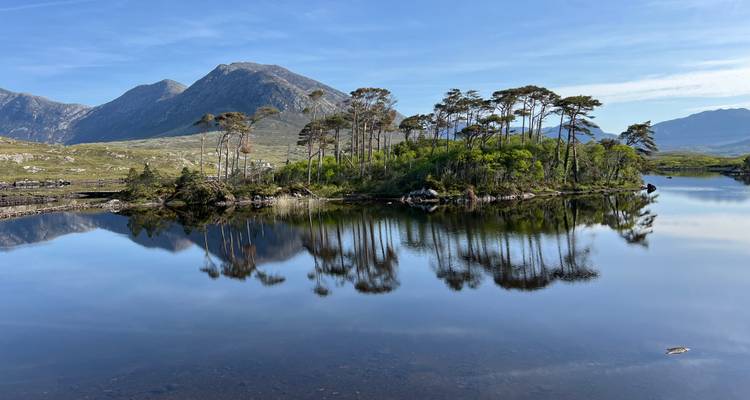 Un lac tranquille avec une île d'arbres hauts se reflétant dans l'eau, entouré de montagnes.