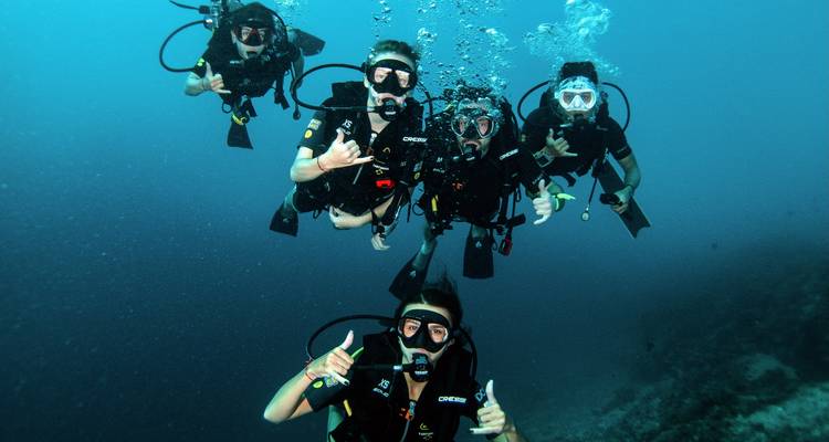 Group of scuba divers underwater in clear blue waters.