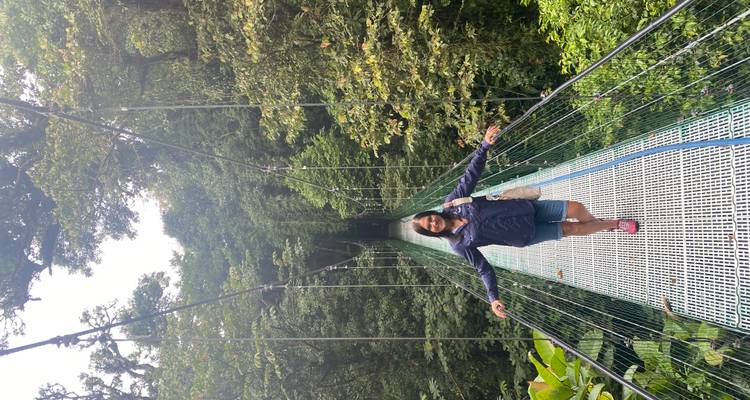 A person walking on a hanging bridge in a lush forest.