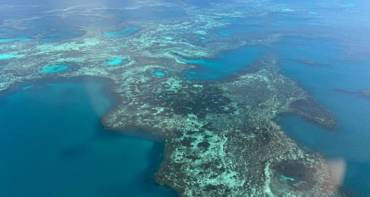 Aerial view of a vibrant coral reef.