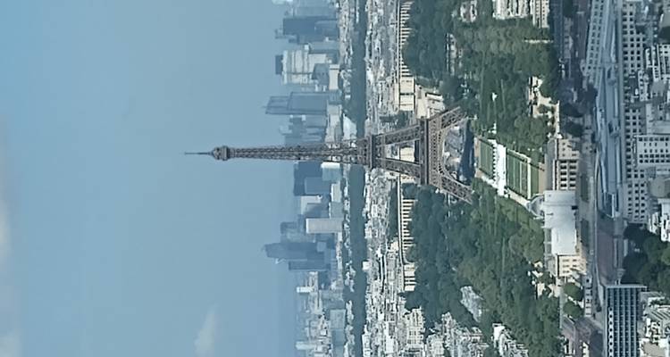 Eiffel Tower with a cityscape of Paris, viewed from a height.
