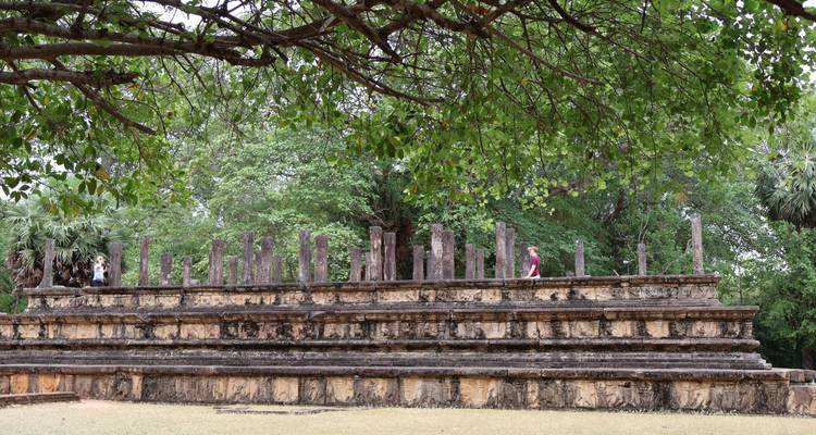 Ruines anciennes avec une personne debout dessus sous un grand arbre.