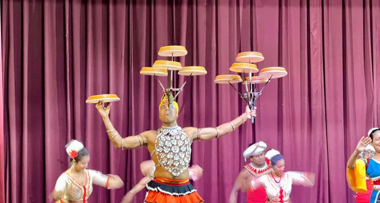 Des artistes en tenue traditionnelle faisant tourner des assiettes sur des bâtons.