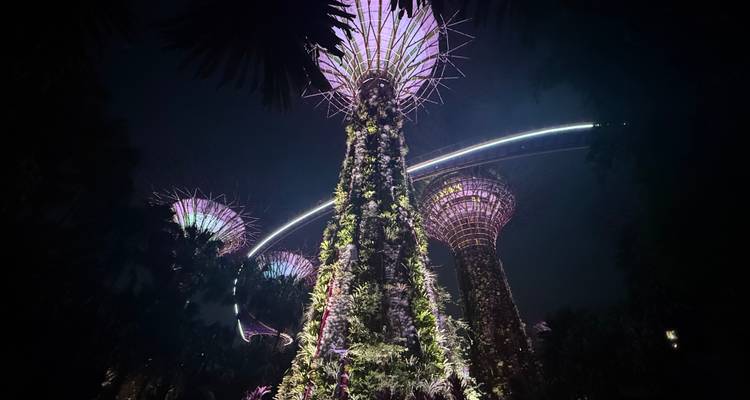 Jardins de la Baie illuminés la nuit.