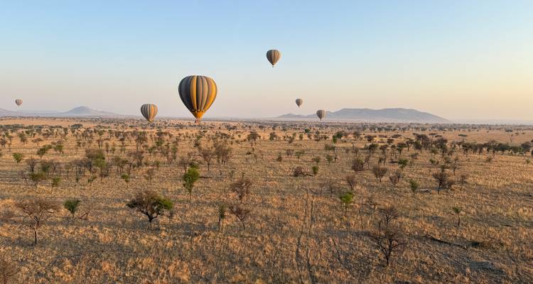 Montgolfières s'élevant au-dessus de la savane pendant le lever du soleil.