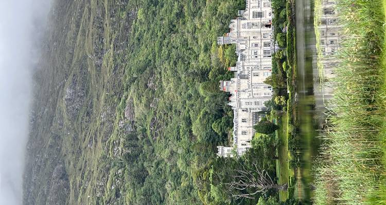 Schloss umgeben von üppigem Grün und einem See.