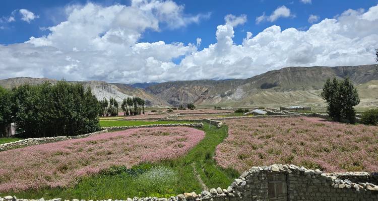Colorful agricultural fields in a mountainous area.