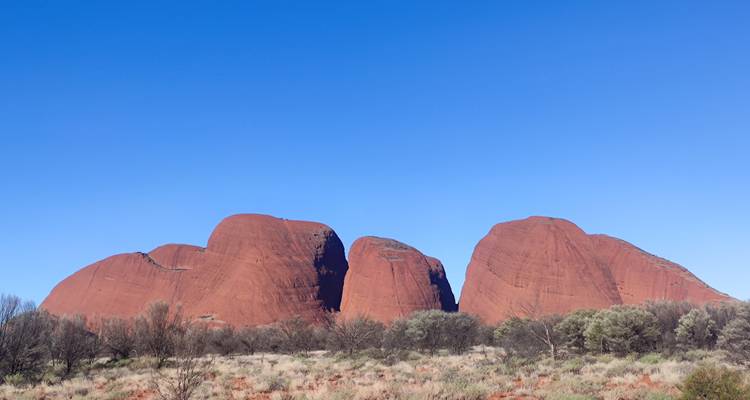 Formations rocheuses de Kata Tjuta sous un ciel bleu dégagé.