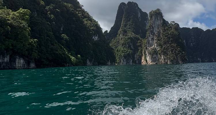 Vista del río con exuberante vegetación en ambos lados.