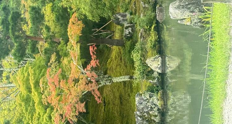 Arbres aux feuilles oranges près d'un étang réfléchissant.