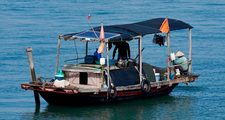 Petit bateau en bois avec un auvent sur une étendue d'eau calme.