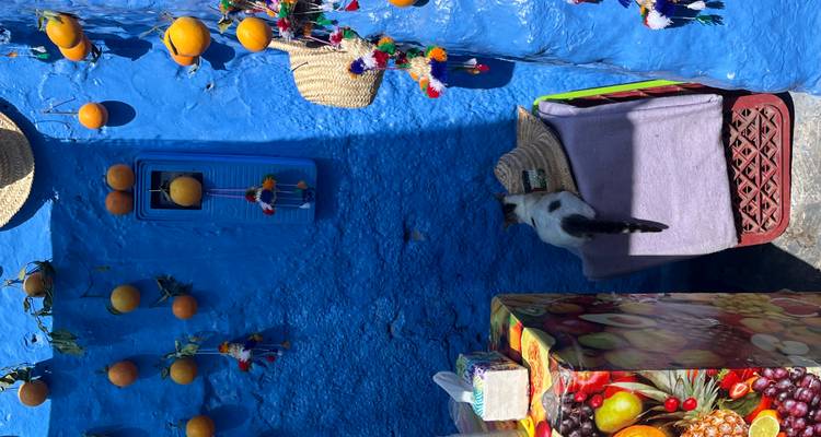 Un mur bleu coloré avec des oranges et un chat qui se repose en dessous.