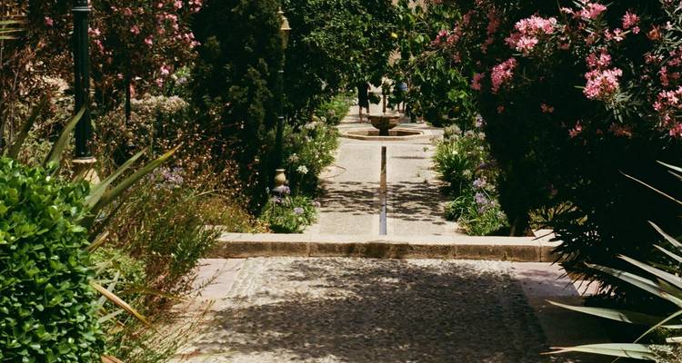 Ein Gartenweg, der zu einem von bunten Pflanzen umgebenen Brunnen führt.