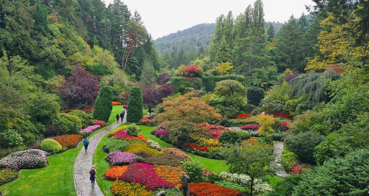 Jardin vibrant avec des fleurs colorées et des allées.