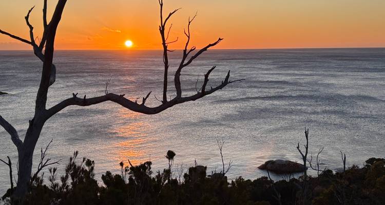 Sunset view over the ocean with silhouetted trees.