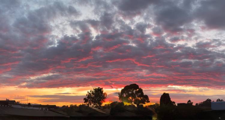 Dramatic sunset over silhouette trees and vibrant sky.