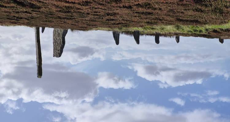 Formation de cercle de pierres sur un paysage herbeux.