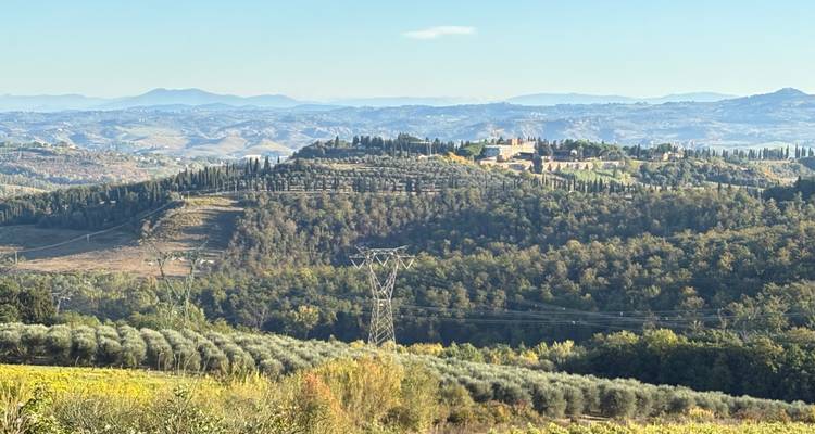 Paysage panoramique de la campagne avec des vignobles.