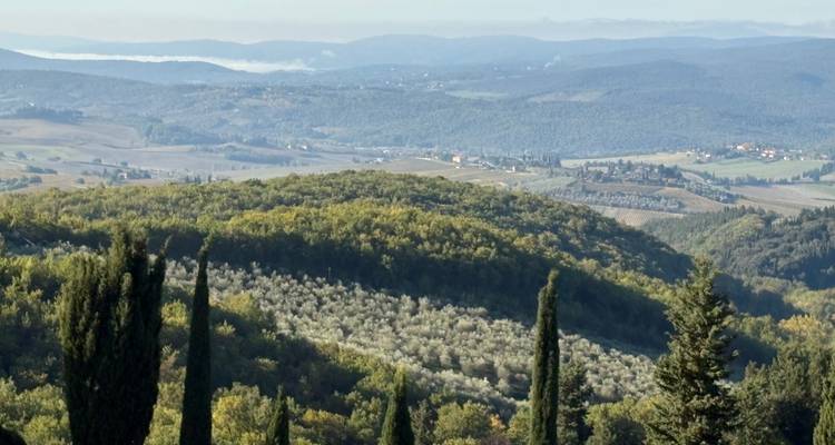Collines ondulantes avec oliveraies et vues panoramiques.