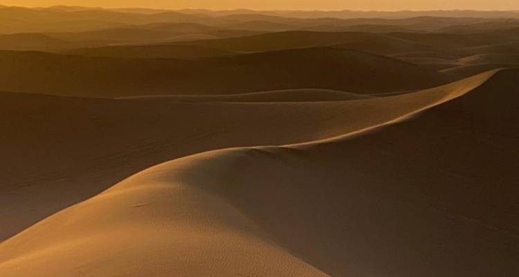 Golden sand dunes stretching endlessly with sunset lighting.