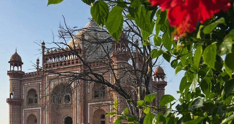 A historic building partially obscured by trees and flowers.