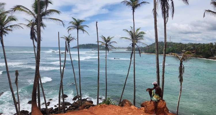 Vue panoramique de plage avec palmiers et une personne assise.