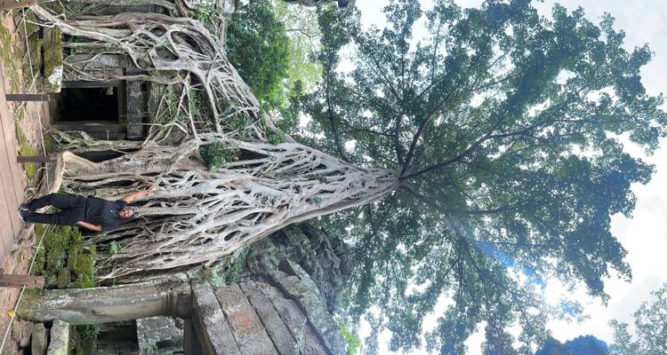 Personne debout à côté d'un grand arbre aux racines étendues