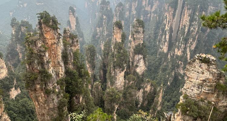 Hautes formations rocheuses naturelles couvertes d'arbres.