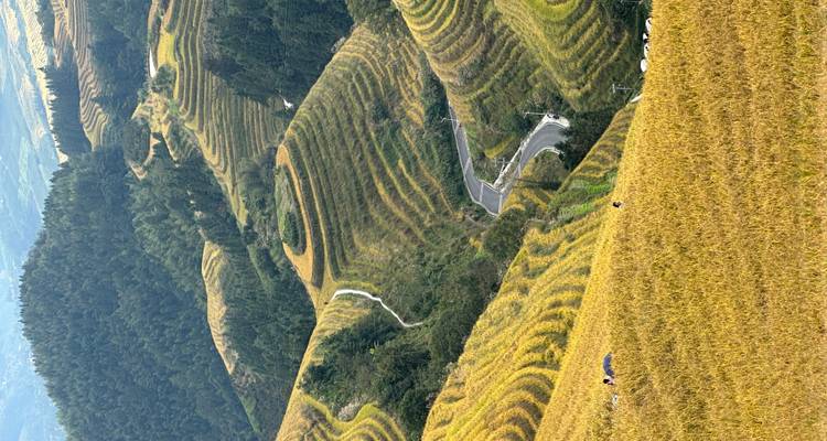 Rizières en terrasses avec une route sinueuse dans une région montagneuse.