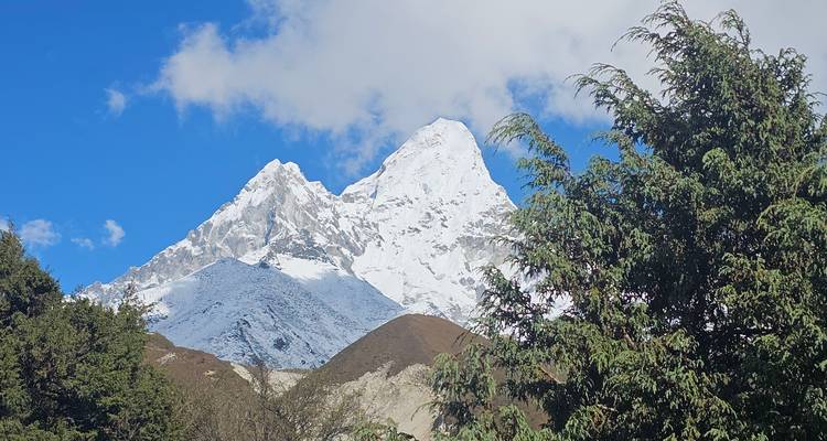 Besneeuwde bergtop met een heldere blauwe lucht en enkele groene bomen.