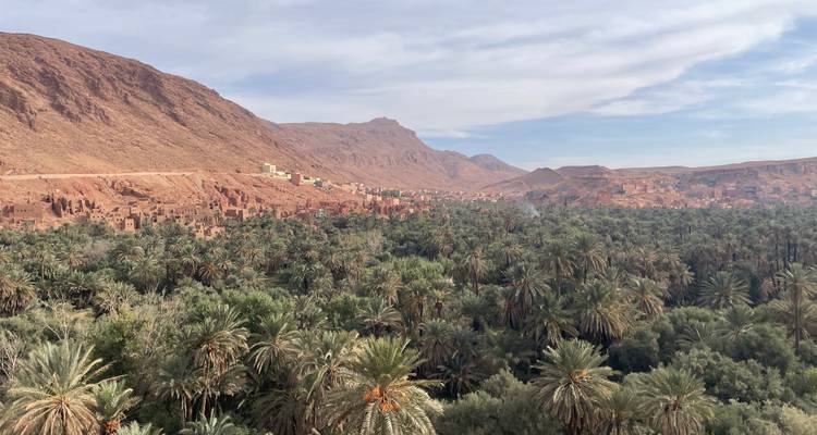 Vaste paysage avec des palmiers et des montagnes rocheuses.