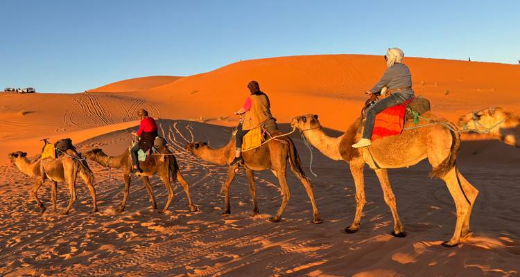 People riding camels in the desert at sunset.