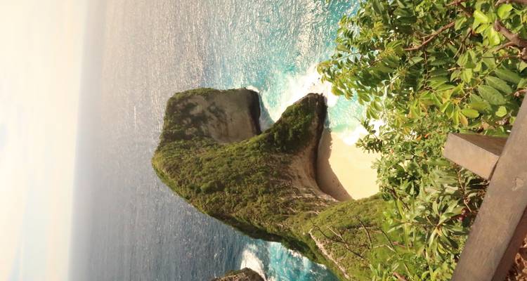 Kustklif met weelderige vegetatie en strand eronder.