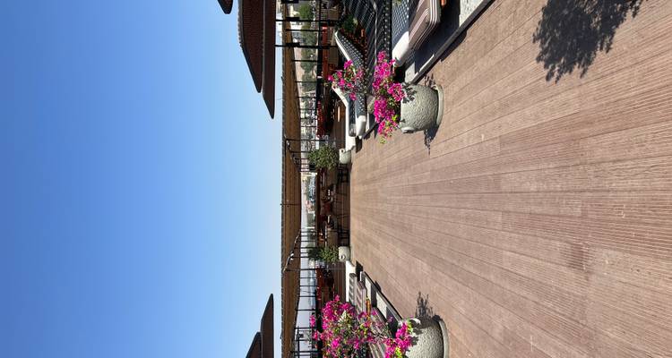 Dachterrassen-Loungebereich mit Sonnenliegen und Sonnenschirmen.