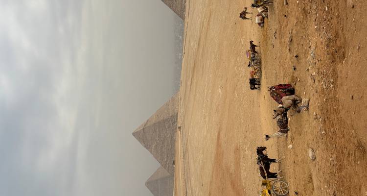 Pyramiden mit Kamelen, die im Vordergrund ruhen.