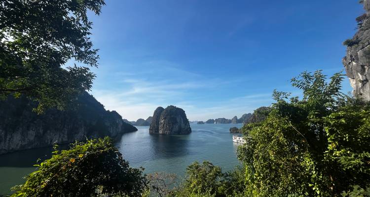 Een prachtig uitzicht op eilanden vanaf een weelderig groen heuvelachtig uitkijkpunt.