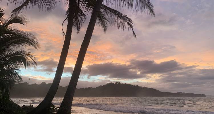 Atardecer sobre una playa con palmeras silueteadas contra el cielo.
