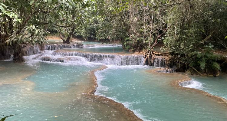Cascades turquoise entourées de forêt.