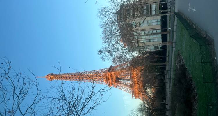 Tour Eiffel illuminée au crépuscule avec des arbres dénudés au premier plan.