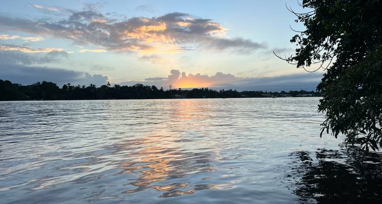 Sonnenuntergang über einem See mit Baumsilhouetten.