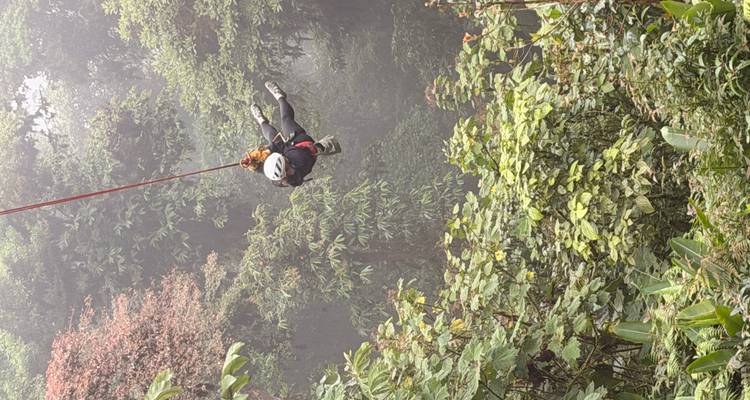Person beim Zip-Lining in einem üppigen Regenwald.
