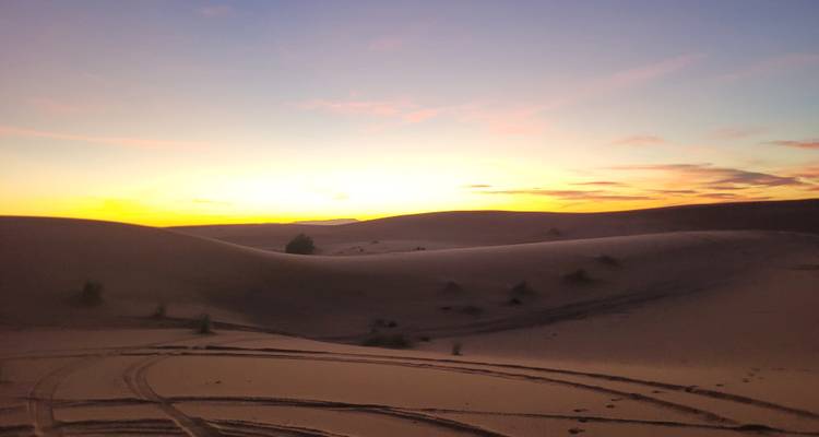 Dunes at sunrise or sunset with soft light in Morocco.