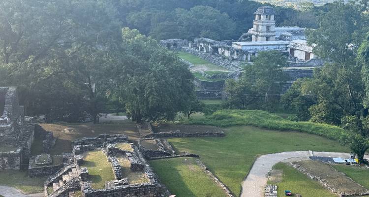 Antike Ruinen umgeben von Grün, von oben gesehen.