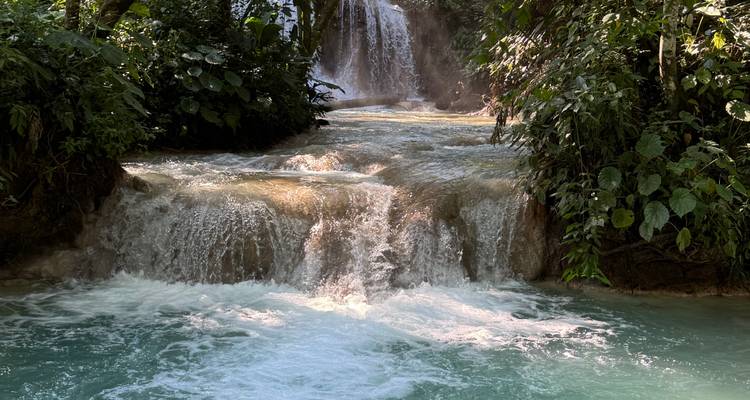 Cascada en un entorno tropical con vegetación exuberante.