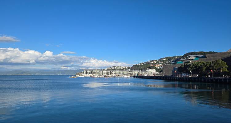 Klares blaues Wasser mit Blick auf einen Hafen und Gebäude in der Ferne.