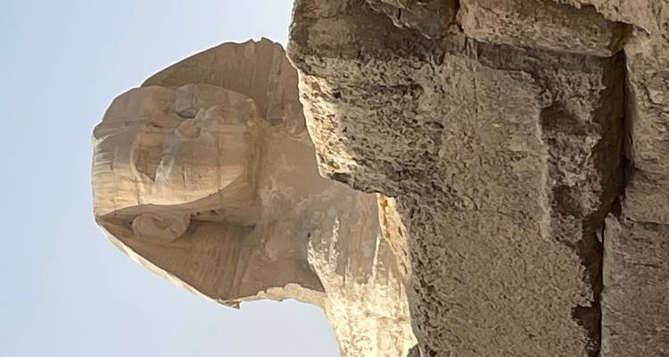 Nahaufnahme der Sphinx mit klarem Himmel.