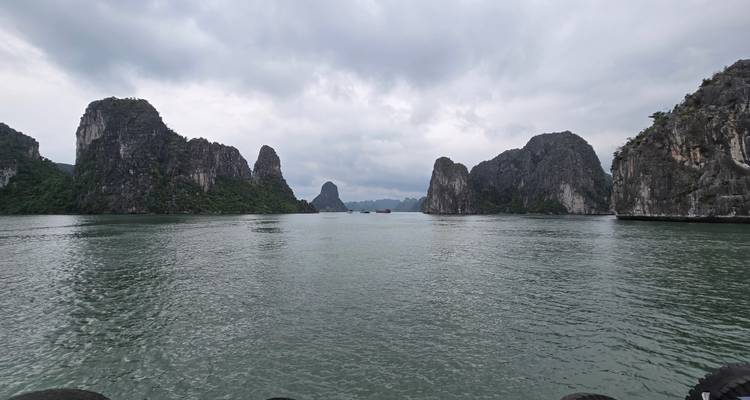 Dramatische kalkstenen karstformaties rijzen op uit kalme groene wateren onder een bewolkte hemel in Halong Bay.