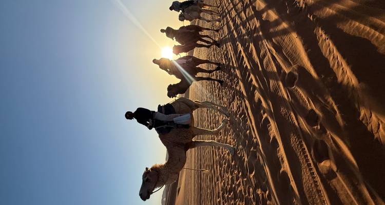 Silhouetted camel caravan moving across golden desert with low sun glinting behind the lead rider.